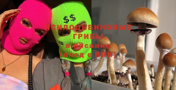 прущая мука Алзамай