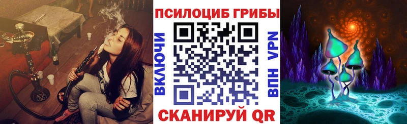 где купить наркотик  Фатеж  площадка формула  Псилоцибиновые грибы прущие грибы 