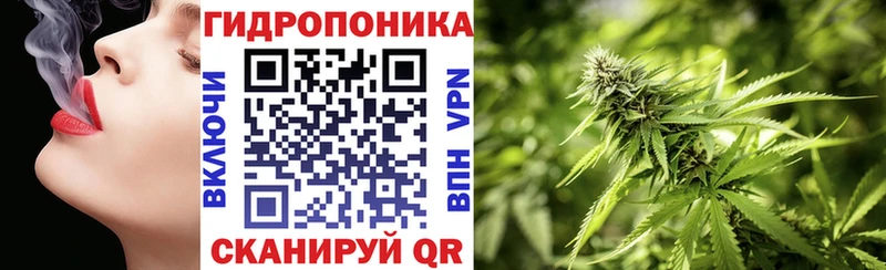 ОМГ ОМГ зеркало  Фатеж  МАРИХУАНА Amnesia 